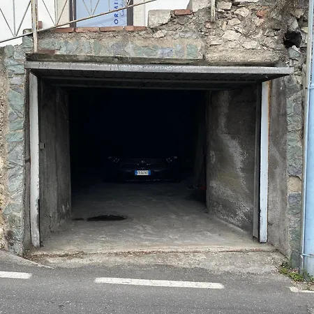 Adamas Domus